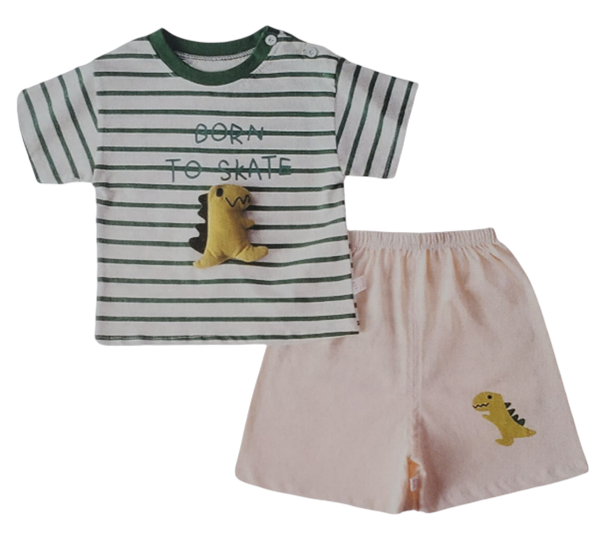 D21 - Boy's Striped T-shirt & Shorts Set
