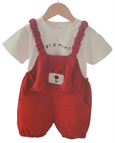 AE1 - My Everyday T-Shirt & Overall outfit