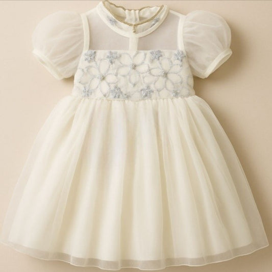 2420 - Elegant Lace Party Dress